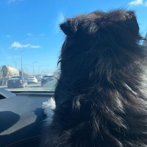 Meet your Posher, Lu